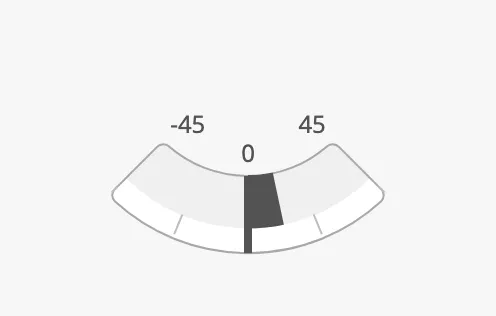 Tickmarks inside the ring