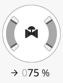 Value 75
